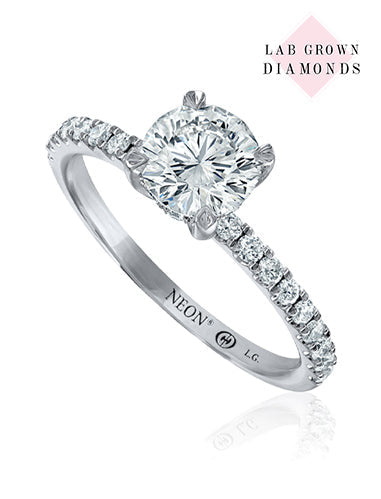 14K White Gold Crisscut Lab-Grown Round Brilliant Petite Pave Diamond Engagement Ring (1.35ctw)