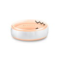 Shell Ascend Two Tone Brushed Mens Band - Parker