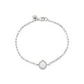 Shell Heritage Diamond Shell Paperclip Bracelet