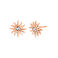 Solaz Bezel Shell Sun Diamond Earrings