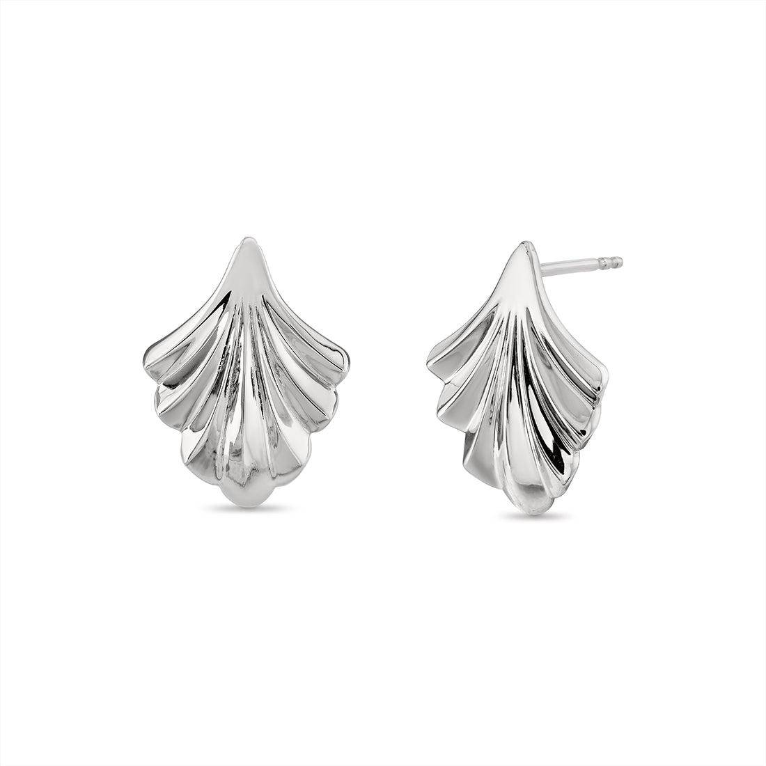 Auravie Shell Sculpted Earrings