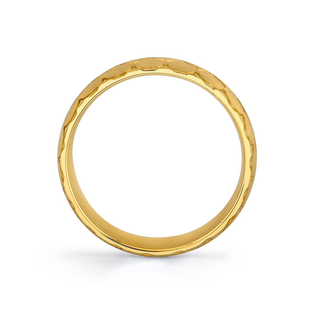 Shell Ascend Brushed Mens Band - Maximus