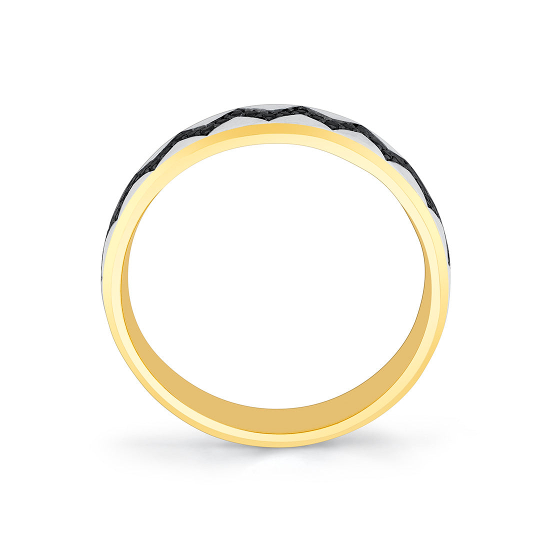 Shell Ascend Two Tone Mens Band with Black Diamonds - Paxton