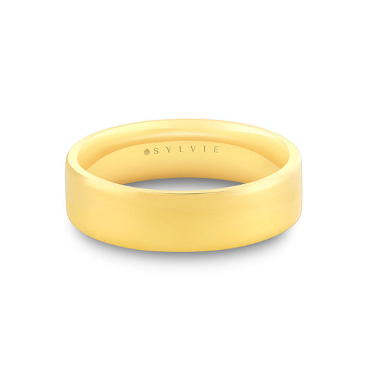 Sand Blasted Mens Band - Penn