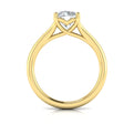 14kt Yellow Gold Diamond Solitaire Split Shank Ring